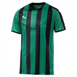 Liga Stripe Jersey - Pepper Green/Black