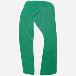 Liga Shorts - Pepper Green