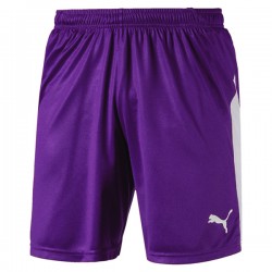 Liga Shorts - Prism Violet