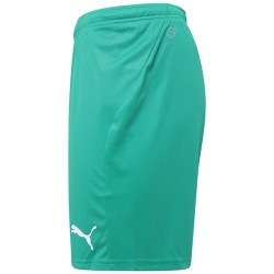 Liga Core Shorts - Pepper Green/White