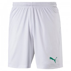 Liga Core Shorts - White/Green