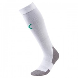 Liga Core Socks - White/Green